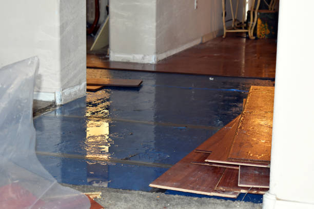 Professional Basement Flood Cleanup technician working in Fayetteville, WV